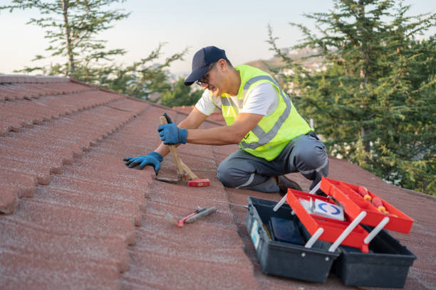 Best Metal Roofing Contractor  in North El Monte, CA